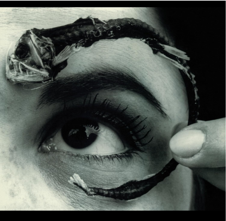 Mr. Bungle – Disco Volante