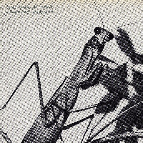 Courtney Barnett - Creature of Habit
