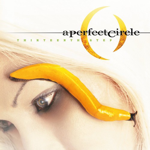 A Perfect Circle – Thirteenth Step - *Music On Vinyl*