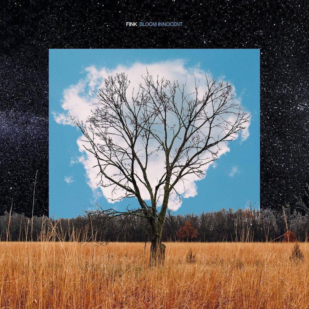Fink / Bloom Innocent